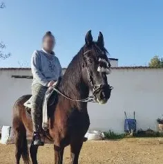 Tuva, 31